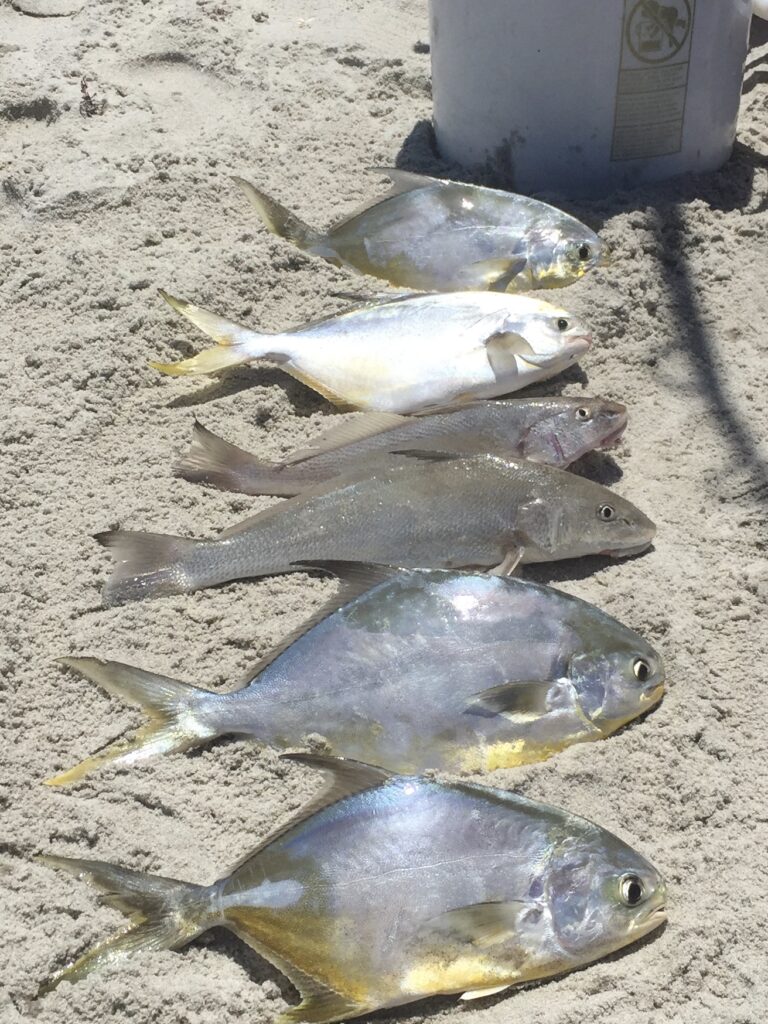 Surf Fishing for Pompano - Cocoa Beach Surf Fishing Charters