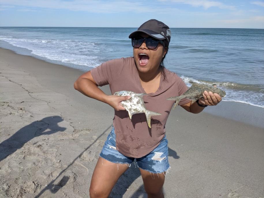 Surf Fishing for Sharks